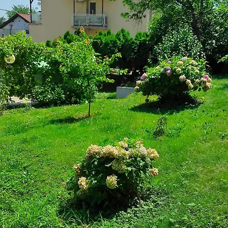 Apartman Zagreb,Rebro,Maksimir,Centar Marko Exterior photo
