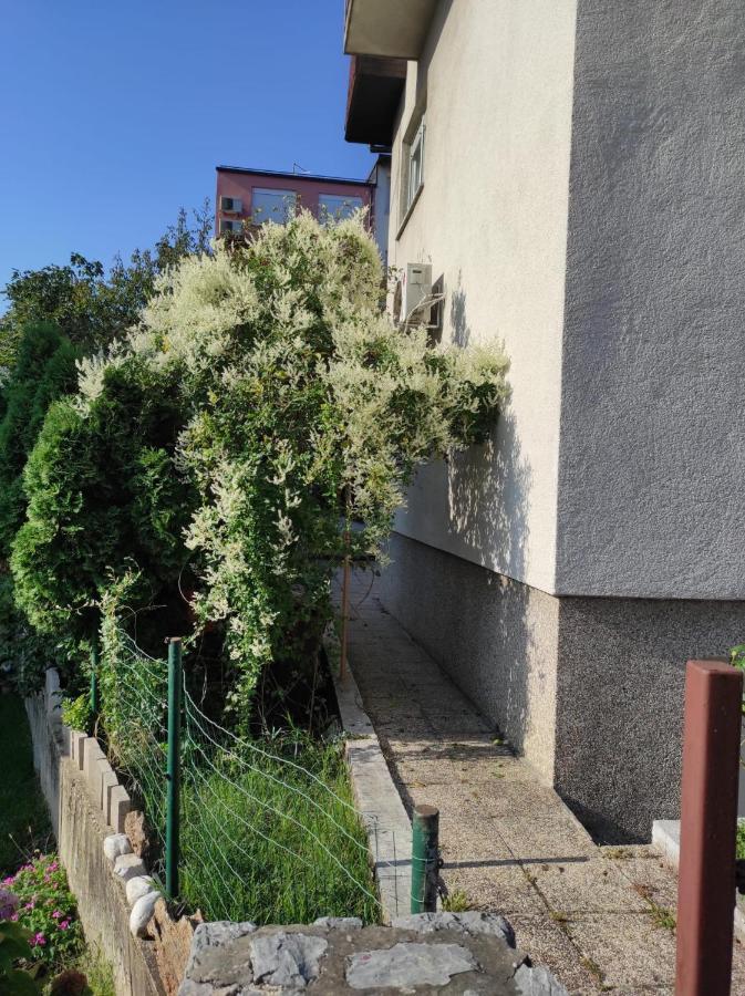 Zagreb,rebro,maksimir,centar Marko Apartment