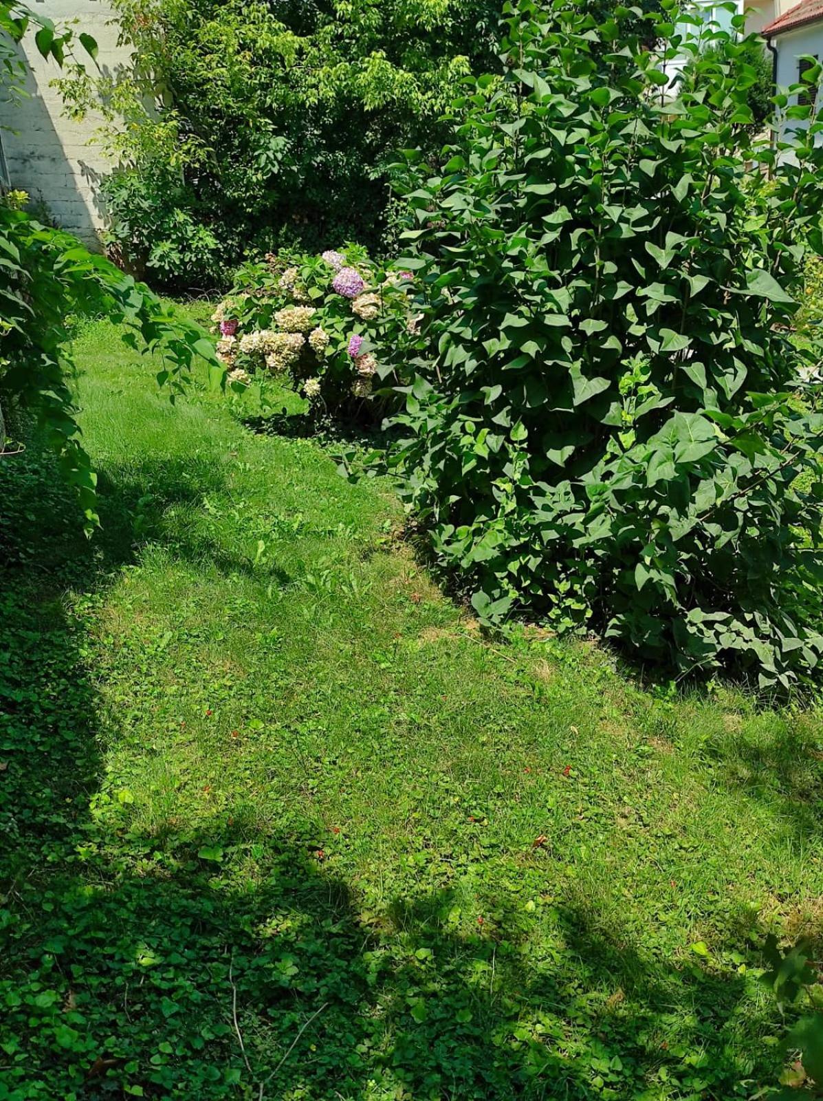 Zagreb,rebro,maksimir,centar Marko * Zagreb